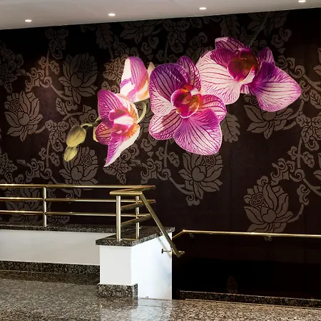 酒店 杜塞尔多夫卡尔斯特美居酒店 卡尔斯特